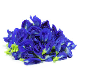 Naklejka premium Close up view of Clitoria ternatea L. or Pea flowers isolated heap on white background and copy space.