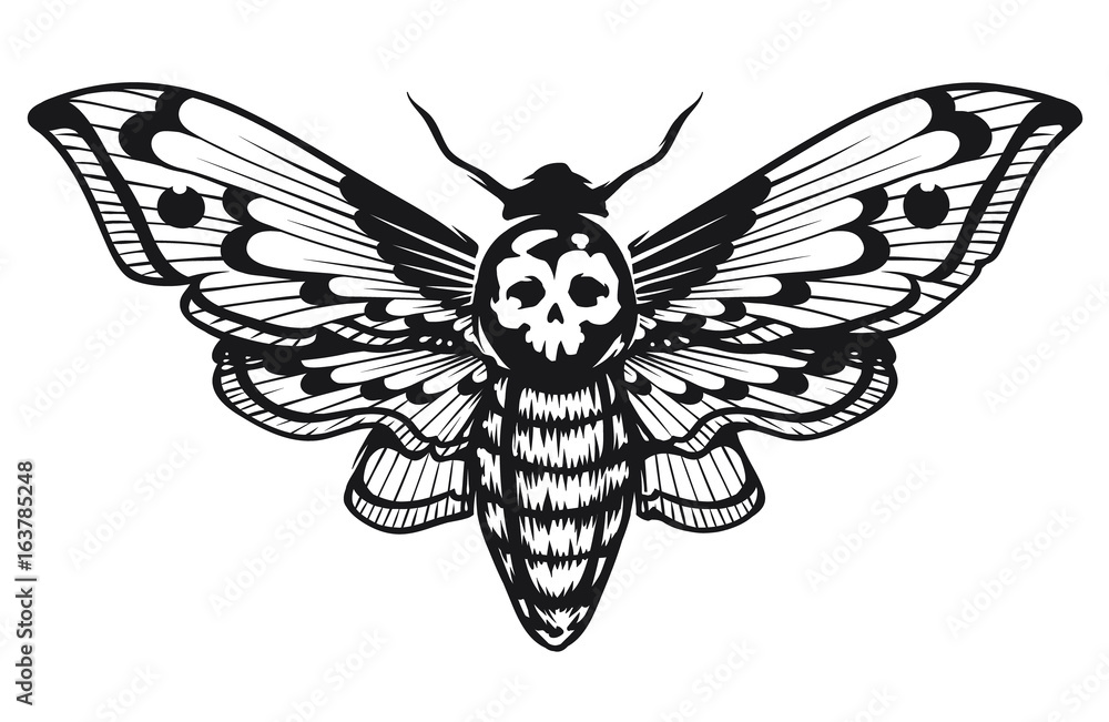 Wall mural deaths head hawk moth