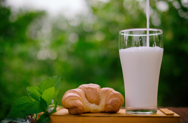 Pour water of milk in glass with brown croissant on table with blur green nature background. Eat with milk and coffee in the morning.