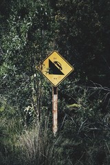 Road sign, Carretera Austral, Patagonia, Chile