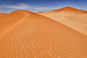 Fototapeta na wymiar desert of namib with orange dunes