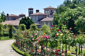 Parc du Thabor Rennes France