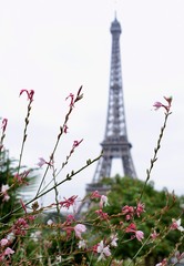 Tour Eiffel