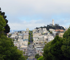 Fototapeta na wymiar San Francisco - Lombard Street - Telegraph Hill - Coit Tower