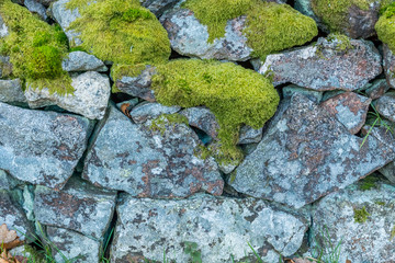 Moss covered stone wall.