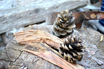 Pine cones on the wood. 