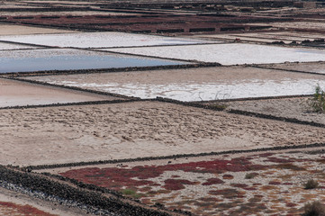 Geometric and colorful salt pan on the coast of Lanzarote, Canary Islands