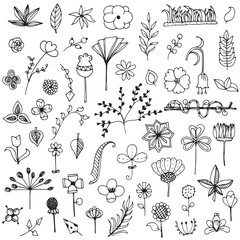 Set of elements flower doodle hand drawn sketch in black line on white isolated