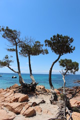 CORSE PLAGE