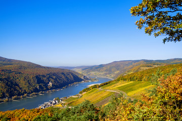 Obraz premium Der Rheingau im Herbst