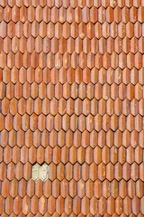 Hexagon brick wall