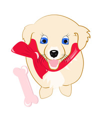 Obraz premium Puppy with bow