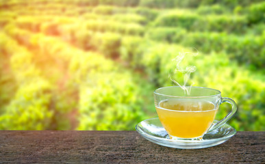 Cup of hot tea and tea leaf on the wooden table and the tea plantations background in sunrise morning