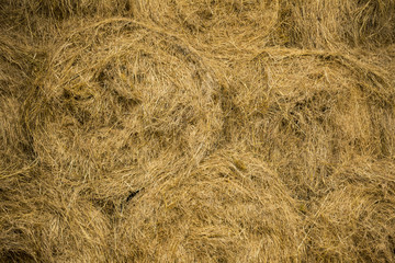 Bales of rolled dry hay