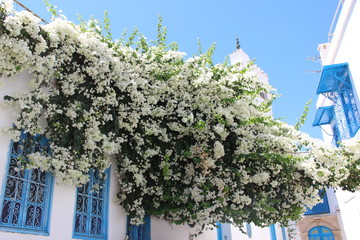 Tunisia Sidi Bou Said