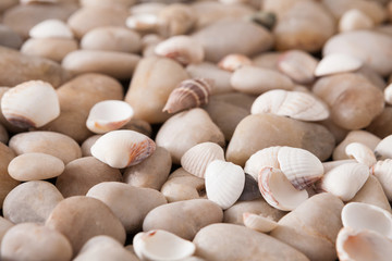 Sea pebbles background, natural seashore stones