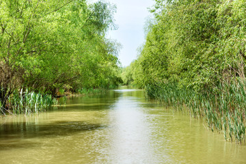 Landscape with tropical river
