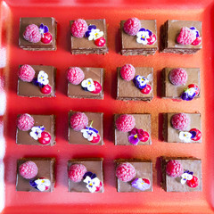 small chocolate cake with raspberries and edible flower
