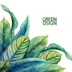 Watercolor heliconia leaves © Ekaterina Glazkova