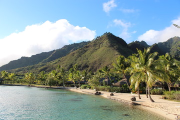 Moorea - french polynesia