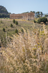Parco Archeologico di Segesta, Sicilia, Italia