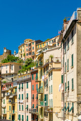 Fototapeta na wymiar Farbenfrohe Häuser von Riomaggiore, Cinque Terre, Liguria, Italien