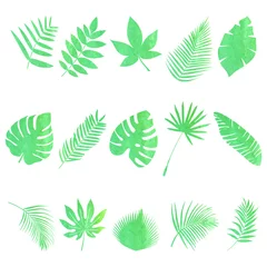 Papier Peint photo Feuilles tropicales Ensemble de feuilles