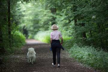 Woman and dog walking in forest - obrazy, fototapety, plakaty