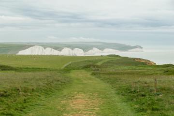 Seven Sisters - Bianche scogliere inglesi