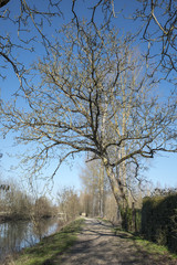 Arçais - Marais poitevin