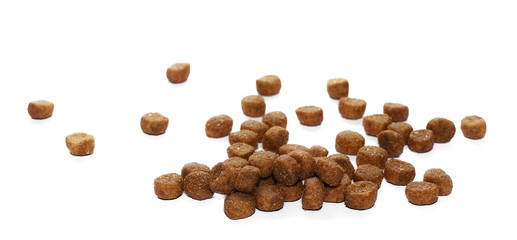 Dry dog food isolated on white background