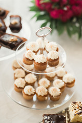 Delicious and tasty dessert table with cupcakes shots at reception closeup