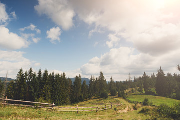 Summer country landscape background. A pathway to forest.