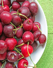 red cherries in white bowl on green background