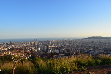 panorama