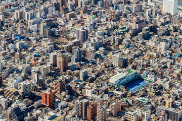 Fototapeta premium the city 1