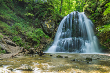 Obraz premium Wasserfall im Wald