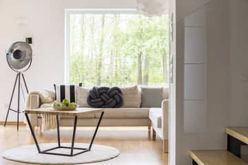 Cute pillows in sofa