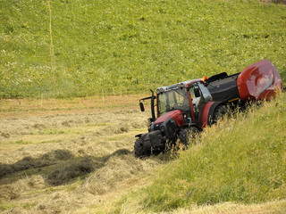 fenaison dans les alpes !