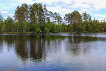 Fototapeta na wymiar Landscape lake and forest
