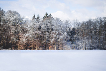 Winterlandschaft