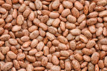 Pinto bean background