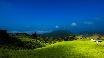 Rice paddy terrace landscape with blue at the hills