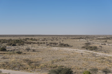 Obraz premium Namibia