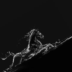 A water horse made of water galloping upwards.