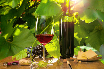 Glass and bottle of vintage red wine on a table. Outdoor shot.