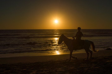 Horse and rider on beach at sunset