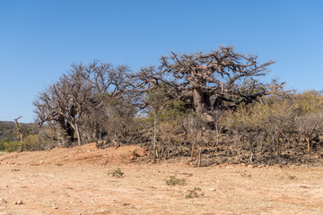 Namibia