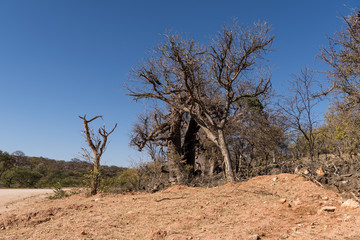 Namibia