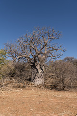 Namibia